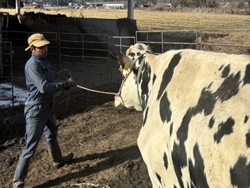 株式会社削蹄舎(削蹄所＆家畜診療所)-4