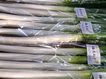 株式会社FS・クルー-2