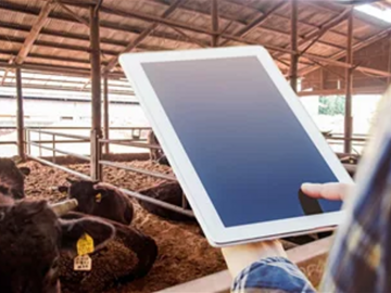 有限会社タムラファーム-5