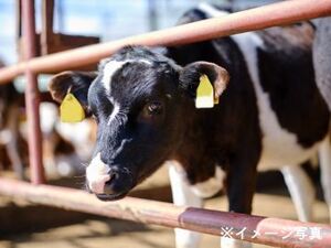 北海道大樹町×酪農/法人【34296】-top