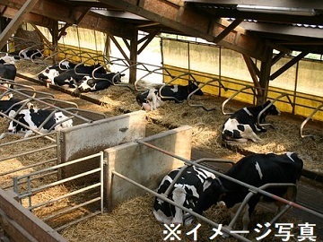 北海道大樹町×酪農/法人【34296】-1