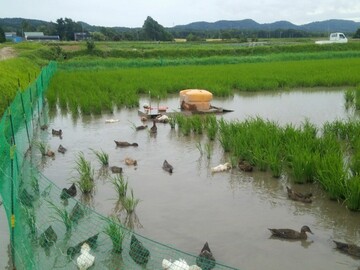 有限会社ファームキトラ-5