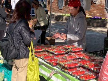 神戸農園ハレいろ-4