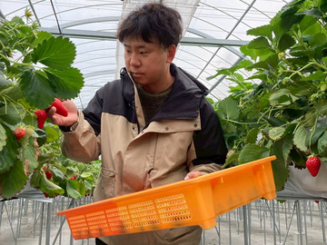 神戸農園ハレいろ-6