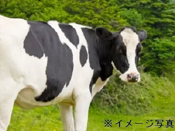 タイ×牧場マネジャー/法人【43289】-1