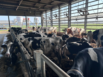 株式会社クマヒロファーム-1