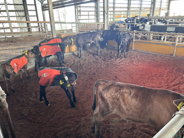 株式会社クマヒロファーム-3