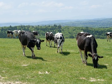 有限会社ワタミファーム【一般職】-1