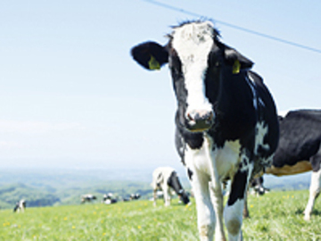 有限会社ワタミファーム【一般職】-2