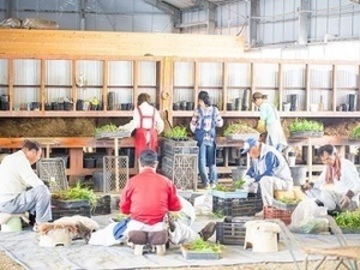 有限会社グリーンファームアンドウ-top