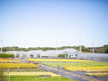 有限会社グリーンファームアンドウ-3