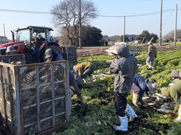 株式会社日本ベジタ-1