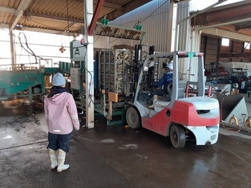 株式会社日本ベジタ-8