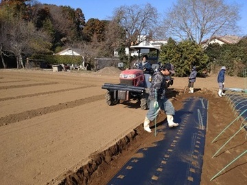 株式会社日本ベジタ-5