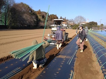 株式会社日本ベジタ-6