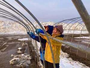 農事組合法人ほのか-top