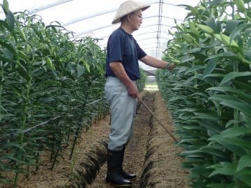 株式会社深沢農園-3