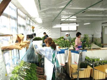 株式会社深沢農園-7