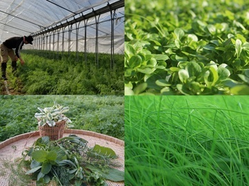 長野ハーブガーデン有限会社-1