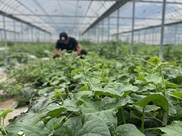 株式会社MKファーム-2