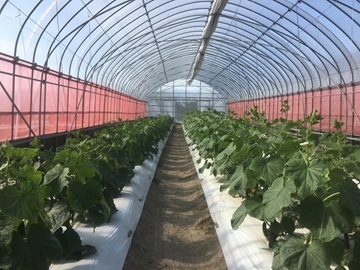 株式会社MKファーム-4