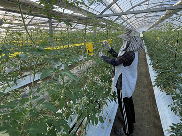 株式会社MKファーム-3