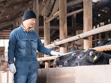 東京和牛株式会社-1