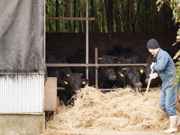 東京和牛株式会社-3