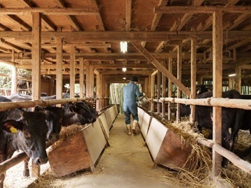 東京和牛株式会社-4