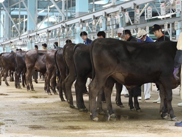 東京和牛株式会社-5
