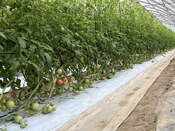 株式会社MKファーム-1