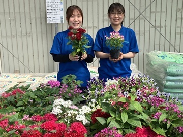 株式会社中神種苗店【営業】-top