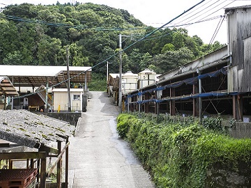 株式会社上村(かみむら)畜産-1