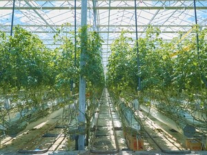 全国×運営マネージャー/法人【43314】-top