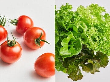 全国×運営マネージャー/法人【43314】-1