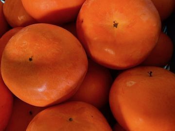 株式会社田中農園-2