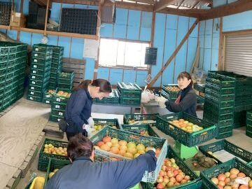 株式会社田中農園-5