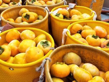 株式会社田中農園-8