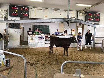 株式会社上村(かみむら)畜産-3