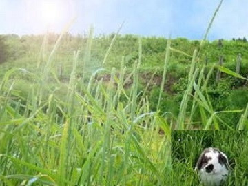 株式会社ウーリー 長野工場(生産)-5