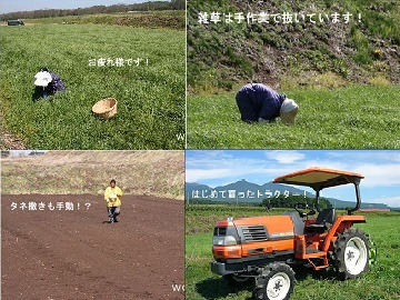 株式会社ウーリー 長野工場(生産)-6