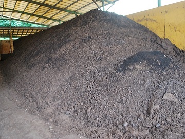 株式会社上村(かみむら)畜産-5