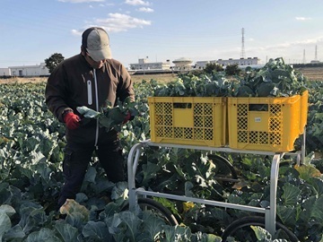 株式会社松山農産-2