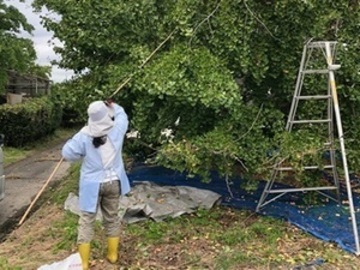 株式会社松山農産-7