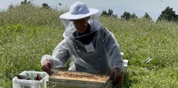 伊豆半島の養蜂場で、ミツバチの管理やハチミツの生産等をおこなう養蜂スタッフを募集!自由な社風の中でスタッフがイキイキと働く職場です☆【未経験歓迎・年休110日】