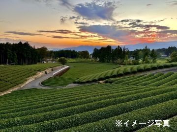 田中碾茶工場-6