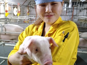 株式会社北海道中央牧場(エスフーズグループ)-top