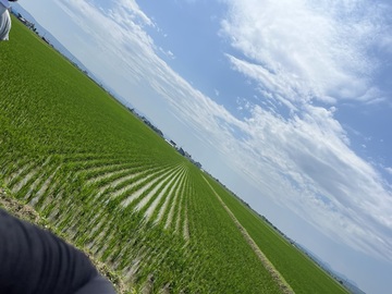 株式会社ゆきむら.TECH-1