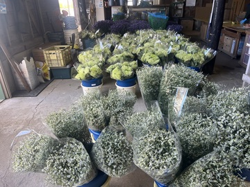 株式会社ゆきむら.TECH-3