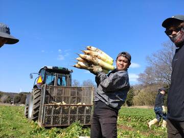 株式会社日本ベジタ-4